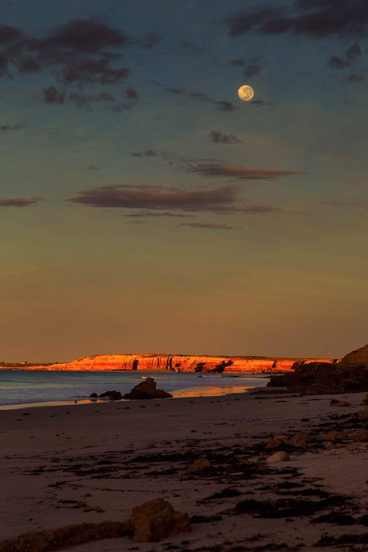 Under a Full Moon