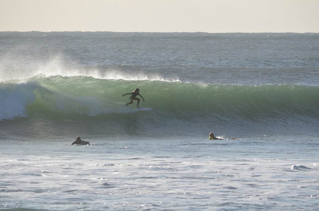 Surfing in WA