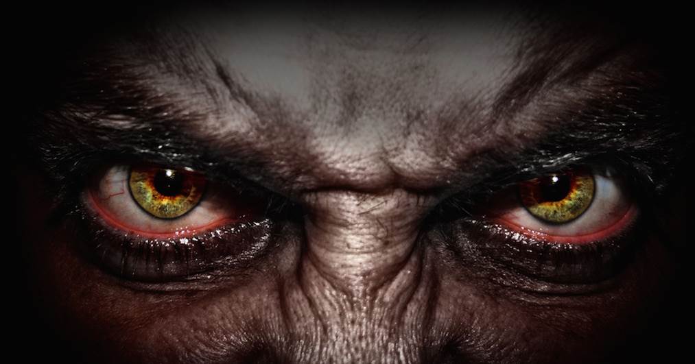 Hunting eyes