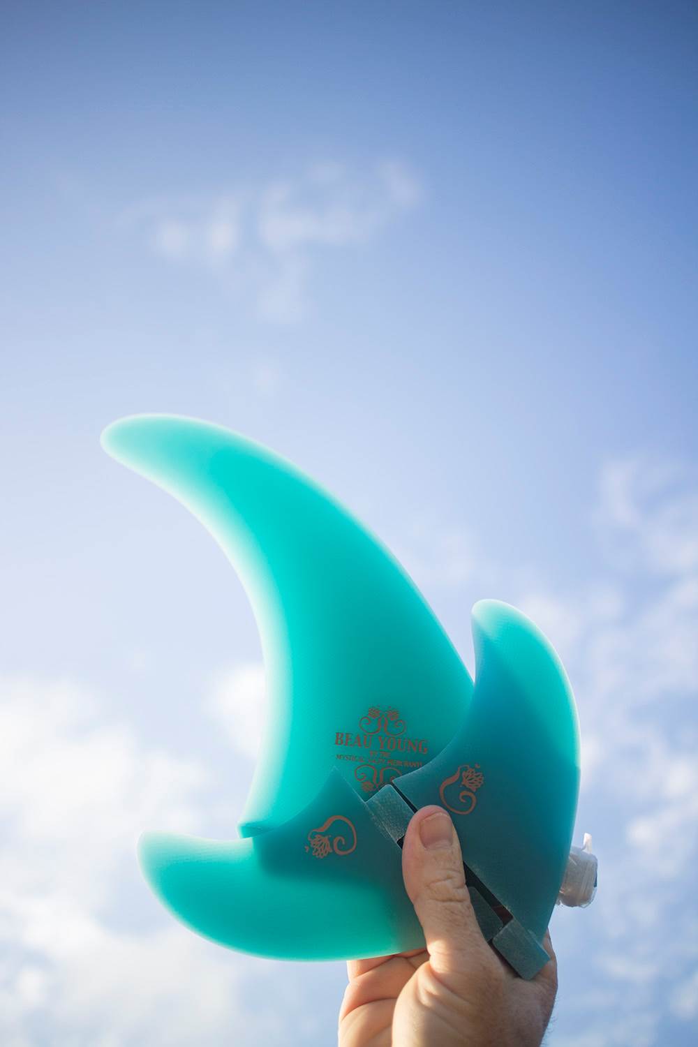 beau young fins