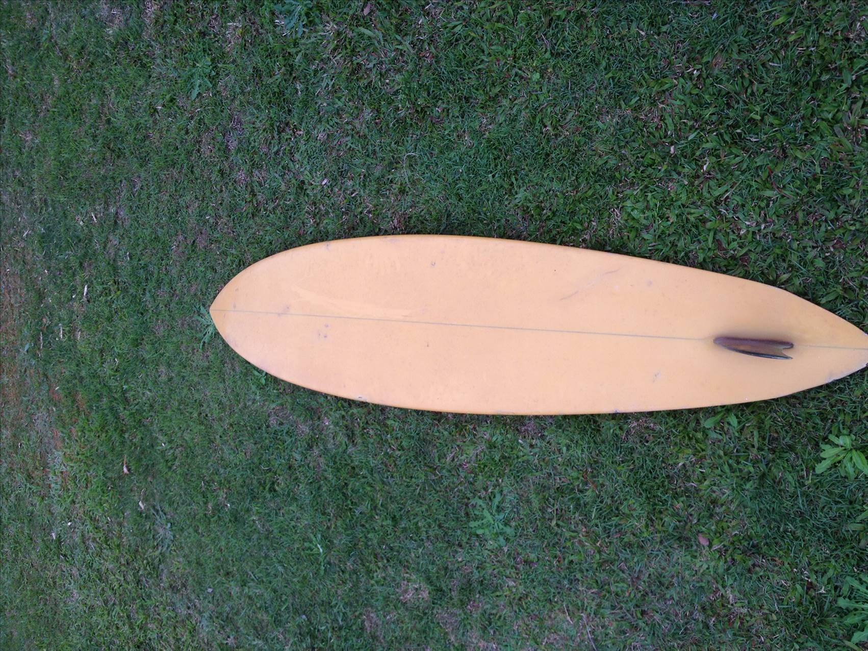 shaped by cole smith