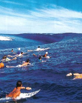 Surfing