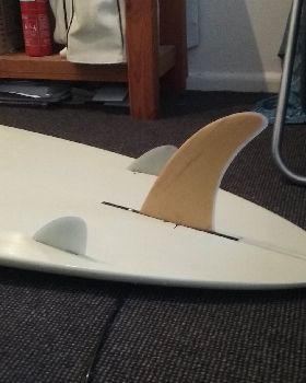 fins
