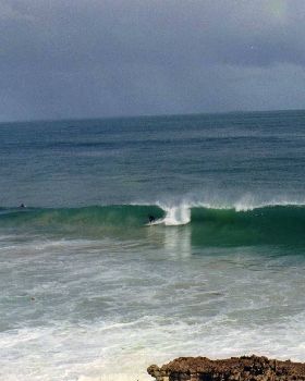 Trigg Dog beach