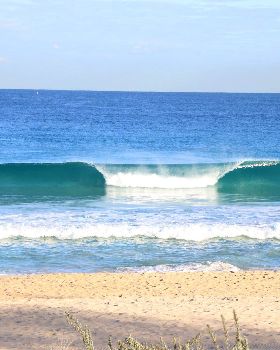 Surfing