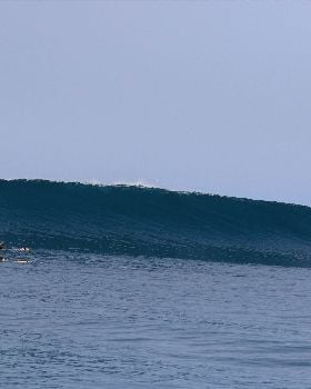 Indo on the Jiwa