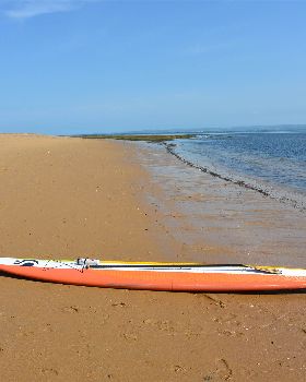 Surfing