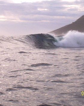 Surfing