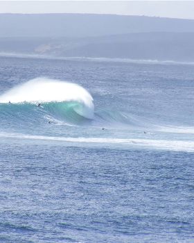 Surfing