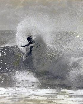 dogman nth coast nsw