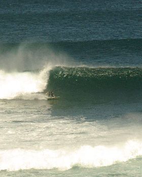 Surfing