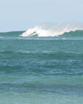 Surfing