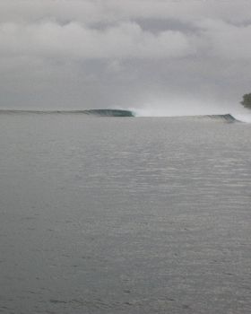Surfing