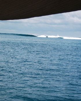 Surfing