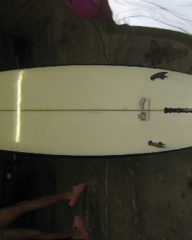 Surfing