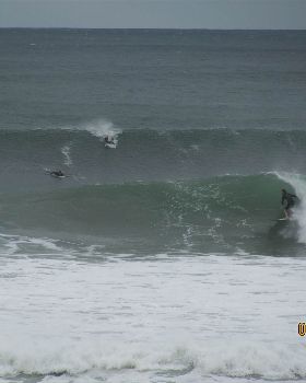 Surfing