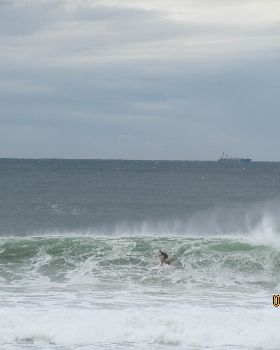 Surfing