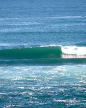 Surfing