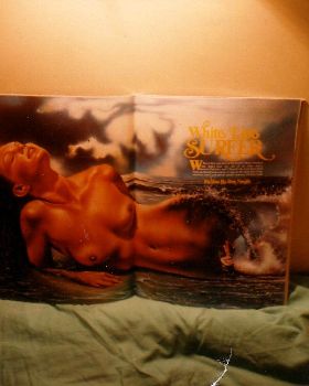 gone surfing