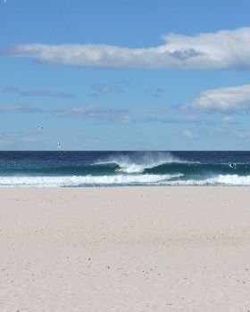 Surfing