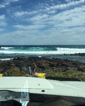 Solid wave