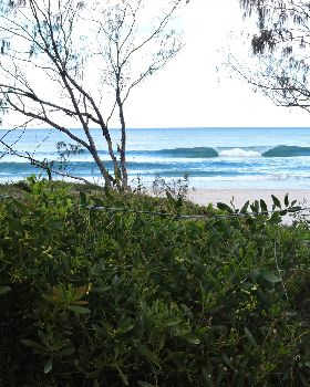 Surfing