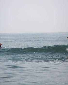 as surf mignot nose 2048