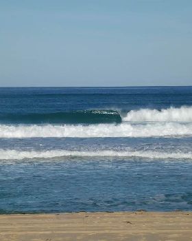 Surfing