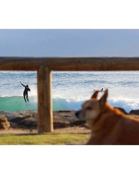 Surfing