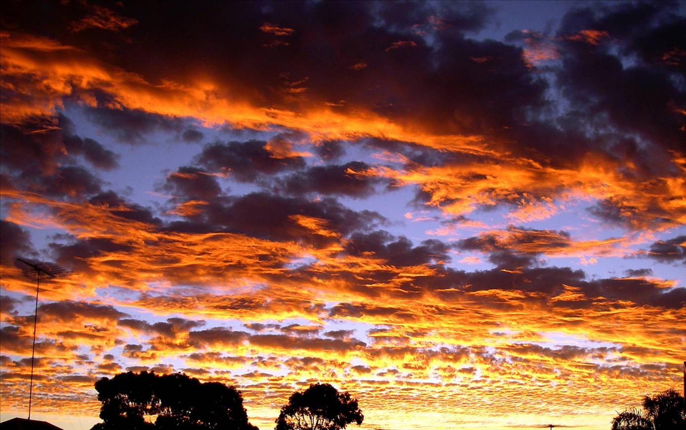 WA Sunset