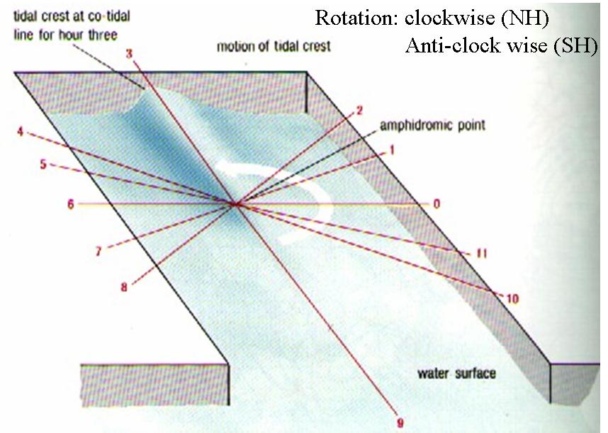 tide theory/ Amphidromic system