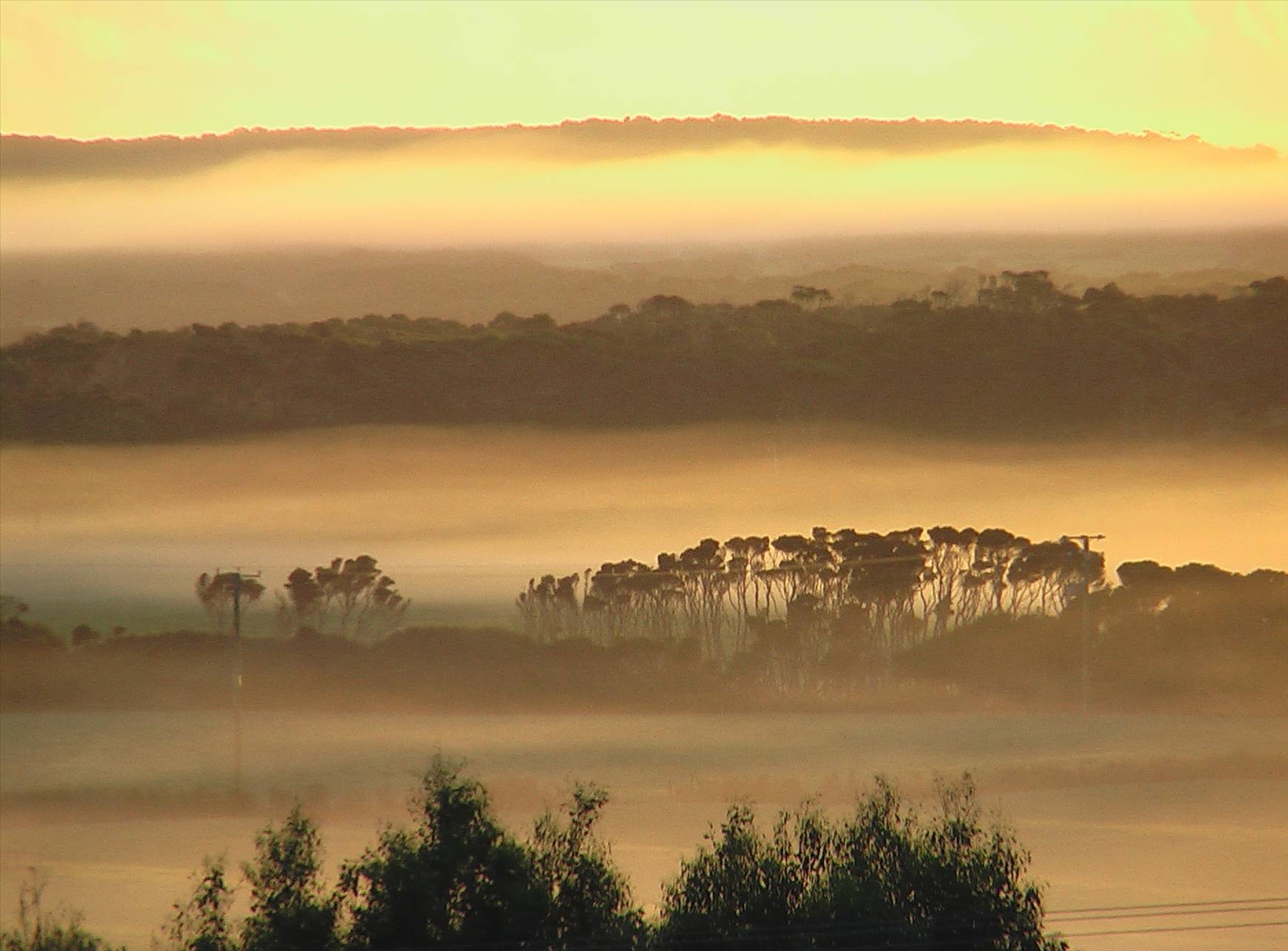 misty morning