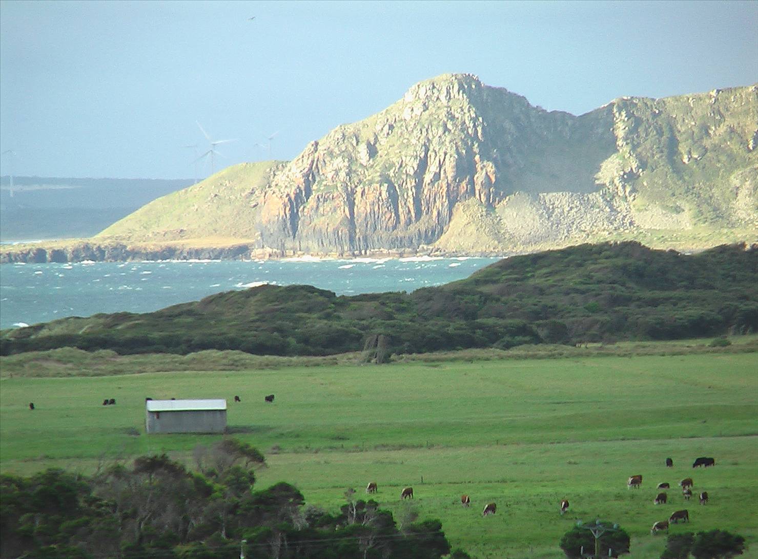 windy westerly