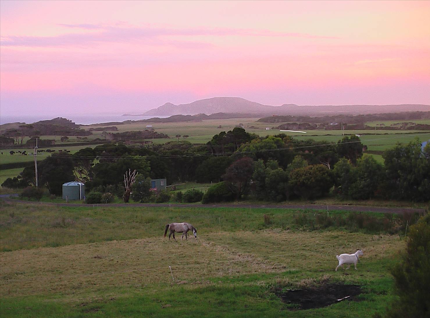 pink sunset