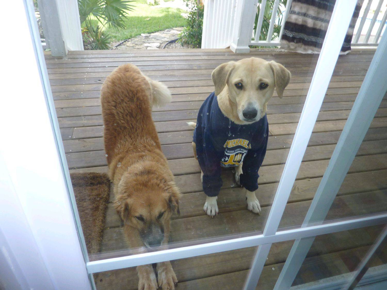 Sandy in cold weather gear