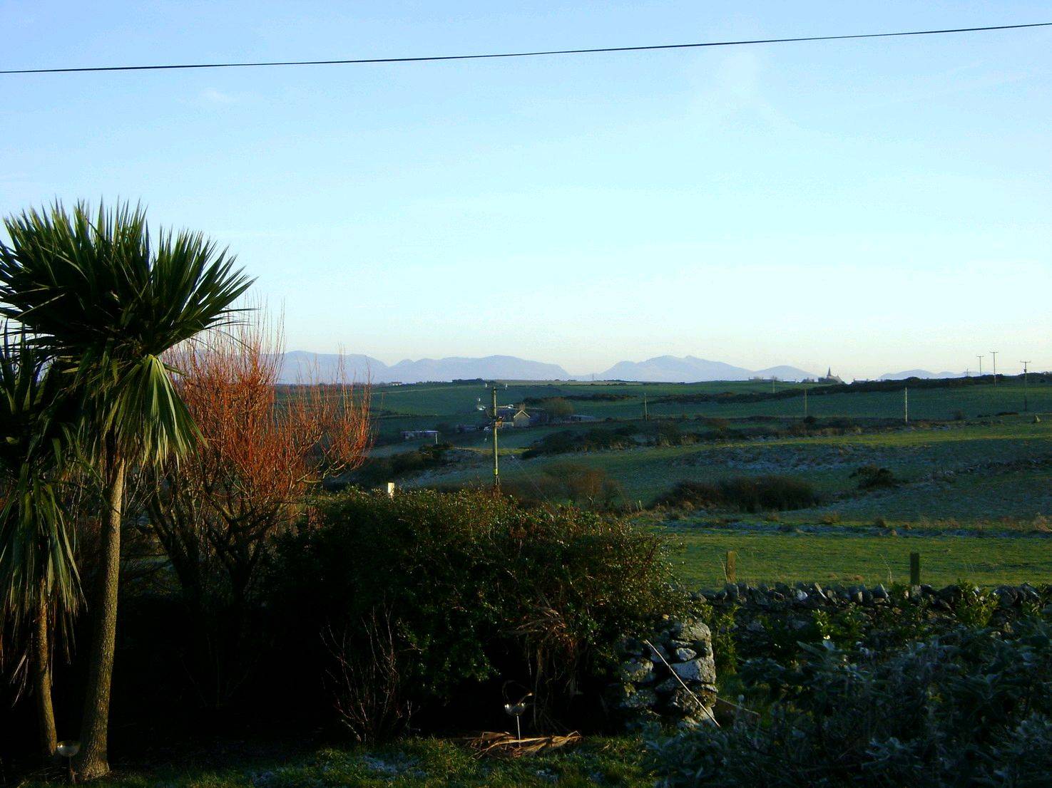 DSC00211