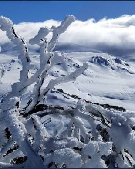 Back Country 