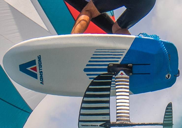 boards-cat-big
