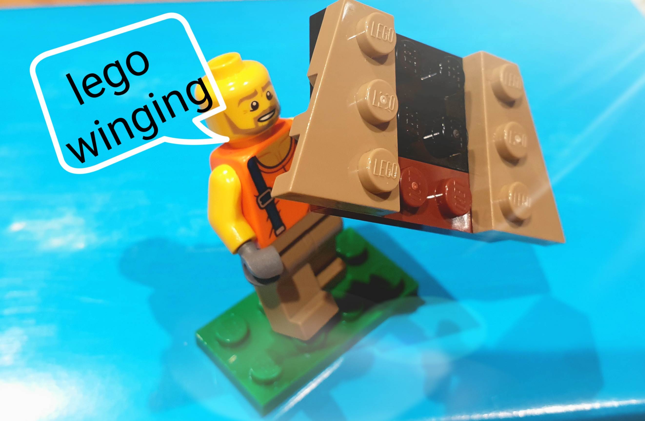 lego wing