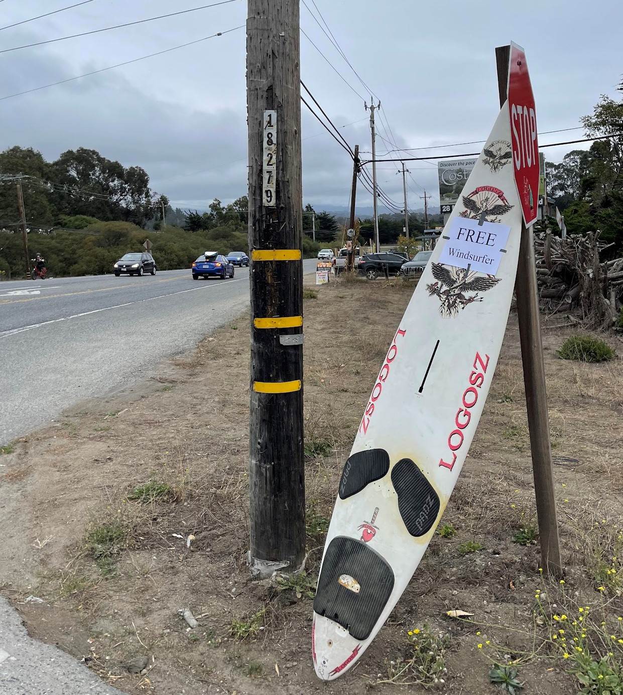 2021 Free Windsurfer