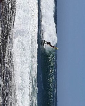 Wind Wings