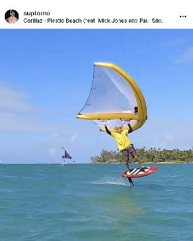 Wind Wings