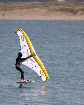 Wind Wings