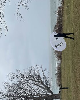 Wind Wings