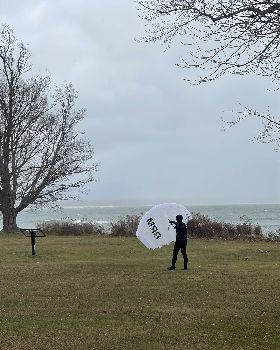Wind Wings