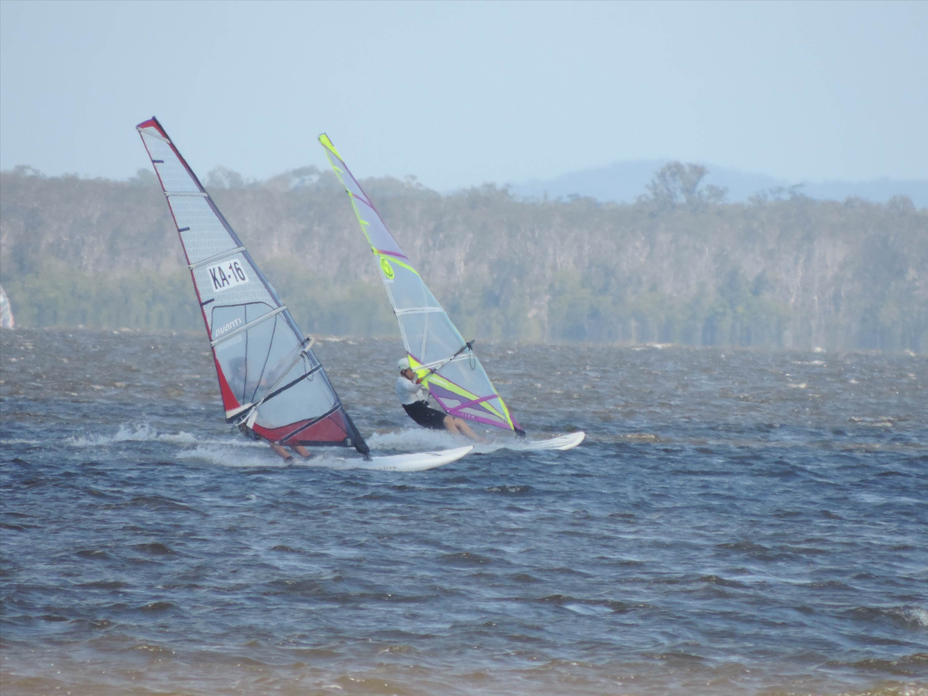 Lake Cootharaba Sept 2015
