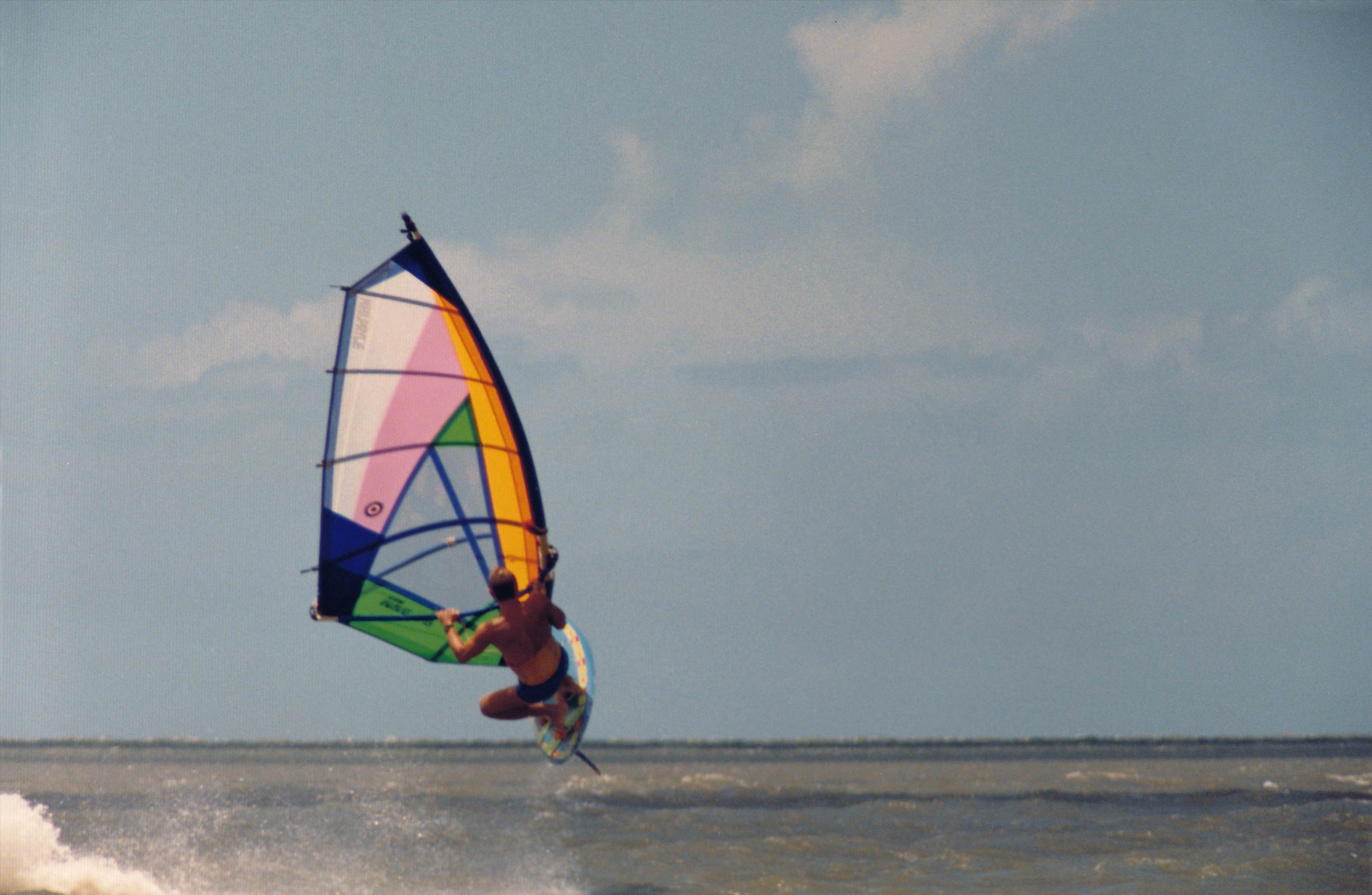 Manly 1990