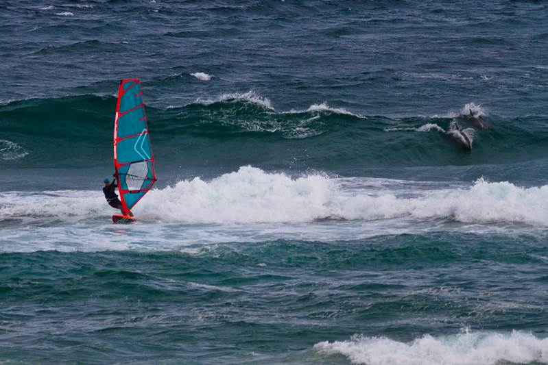 Australian Wave Sailing Titles