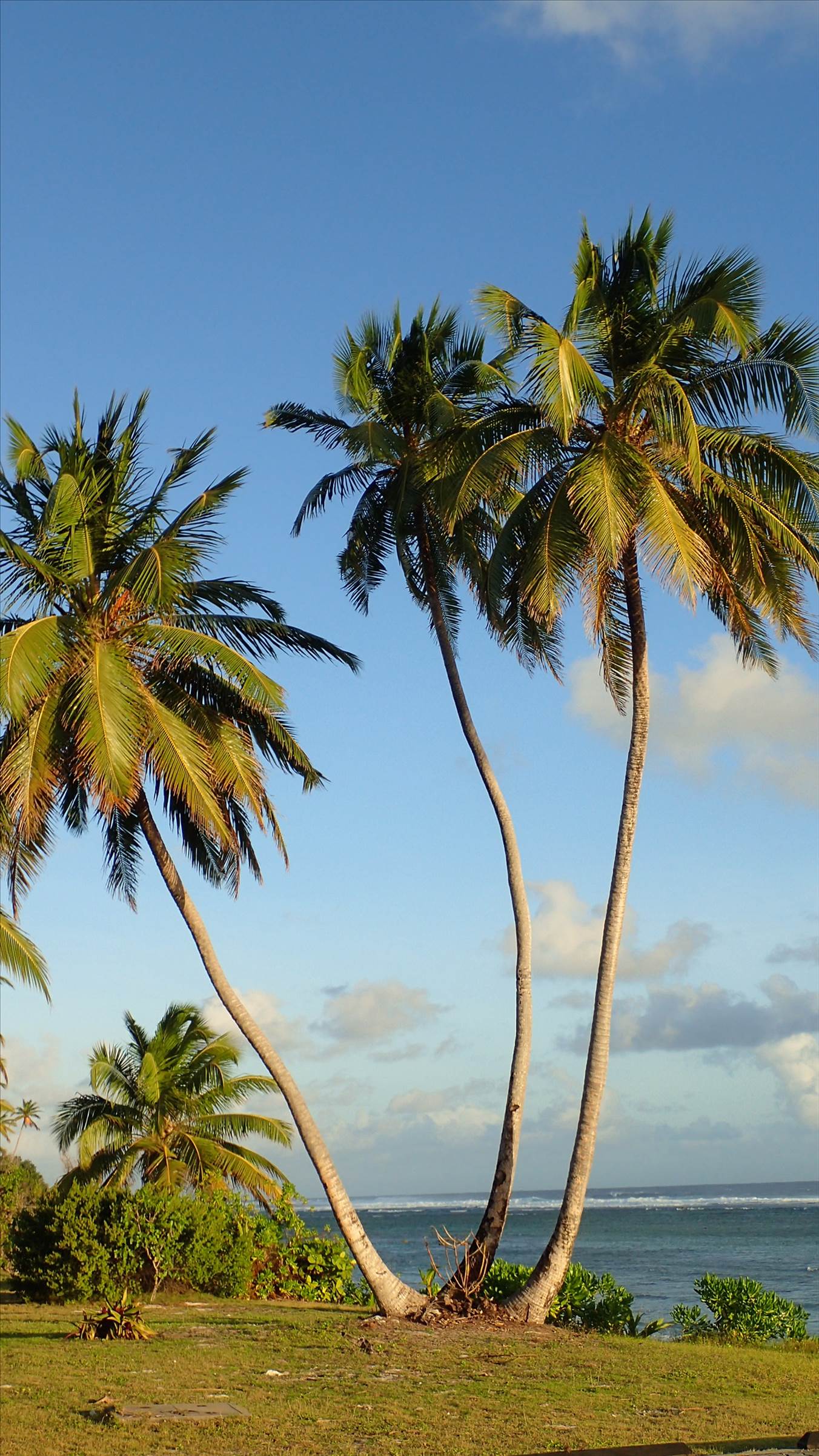 Cocos Lagoon Crossing 2015