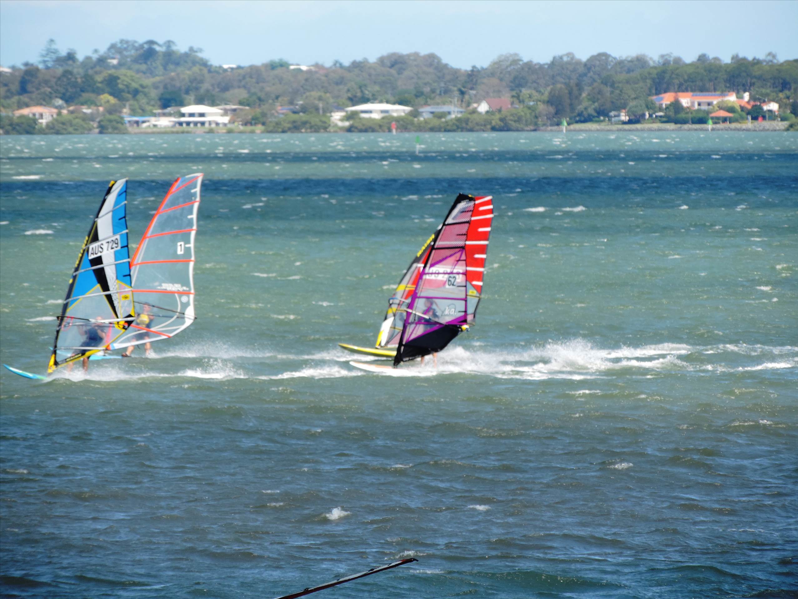 Bayside Slalom 15/11/2015